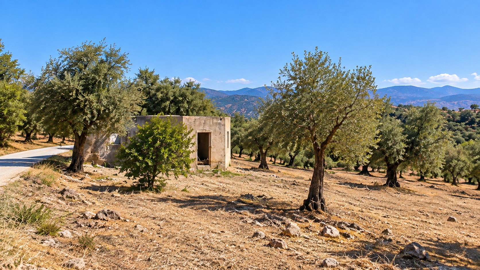 FINCA RUSTICA CON CASA DE APERO